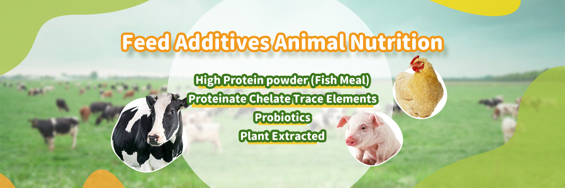 Quality Amino Acid Feed Additives & Feed Amino Acid factory from China