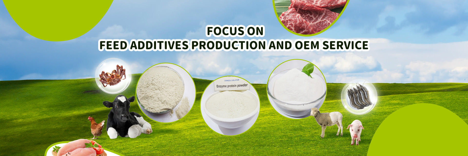 Quality Amino Acid Feed Additives & Feed Amino Acid factory from China